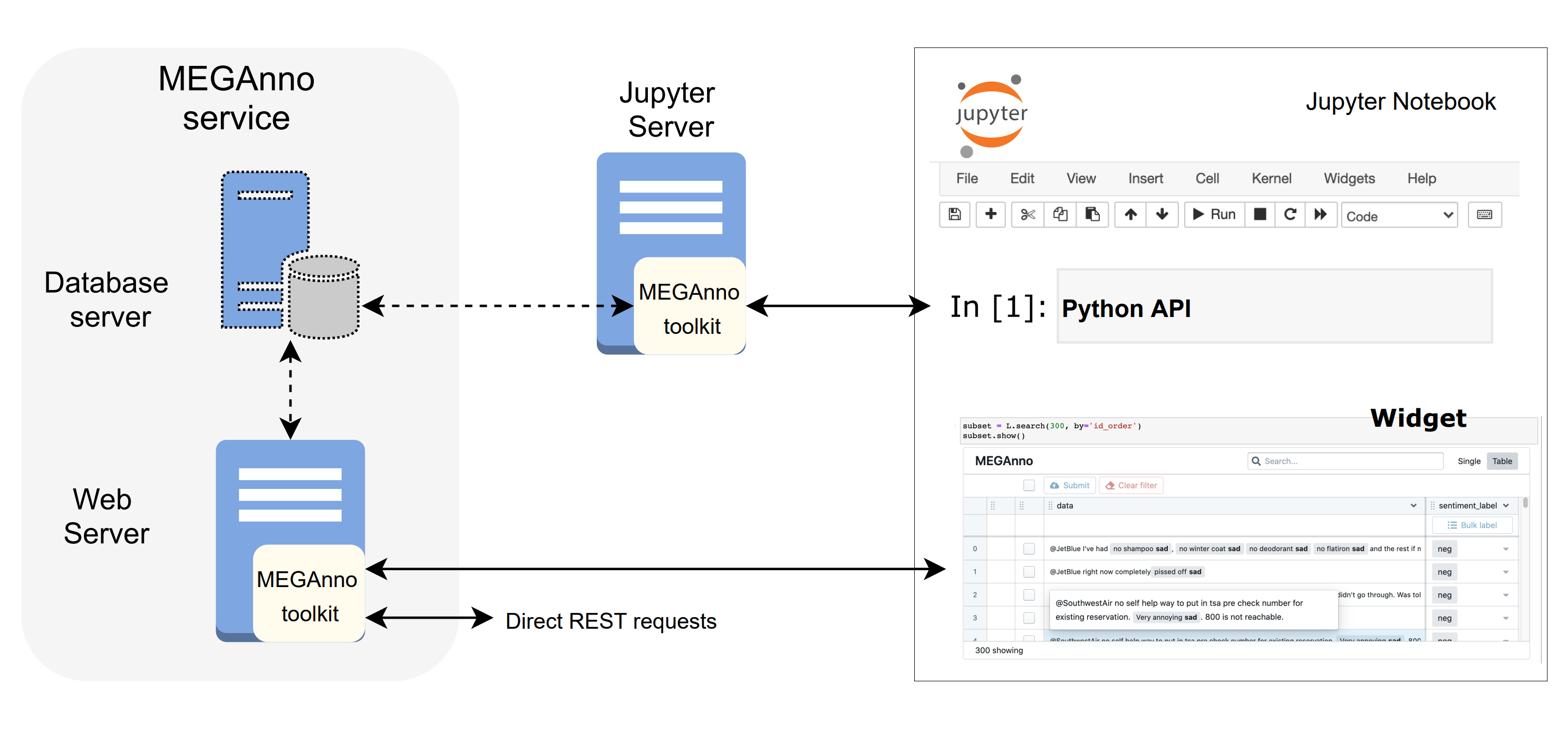 Figure 2. Overview of MEGAnno+ system.